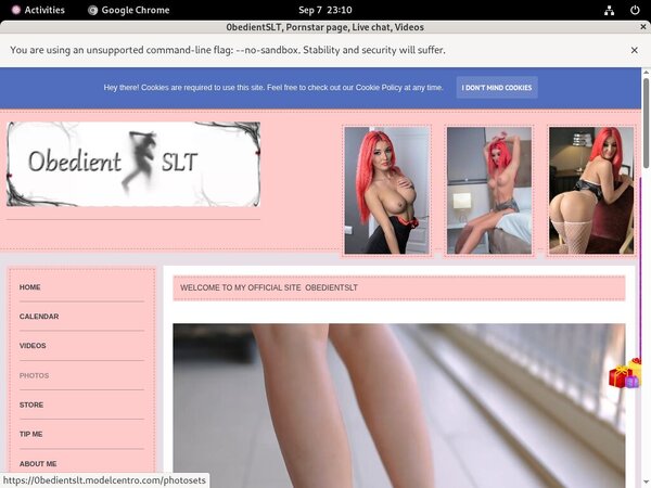 0bedientSLT Models