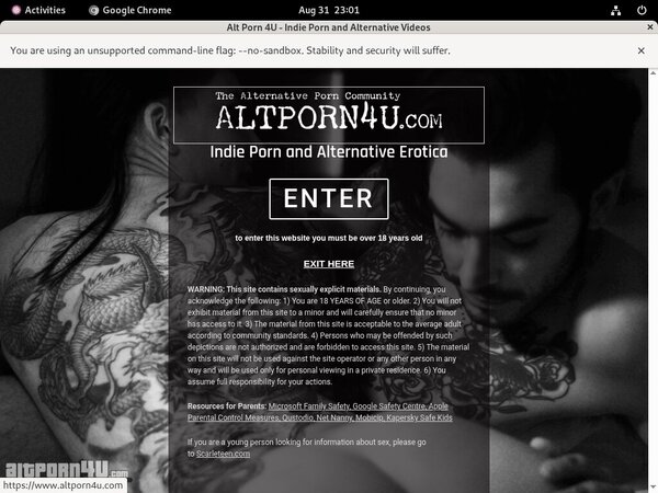 Alt Porn 4 U Website Password
