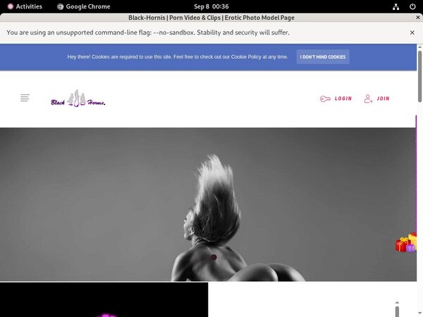 Black-hornis.net Live