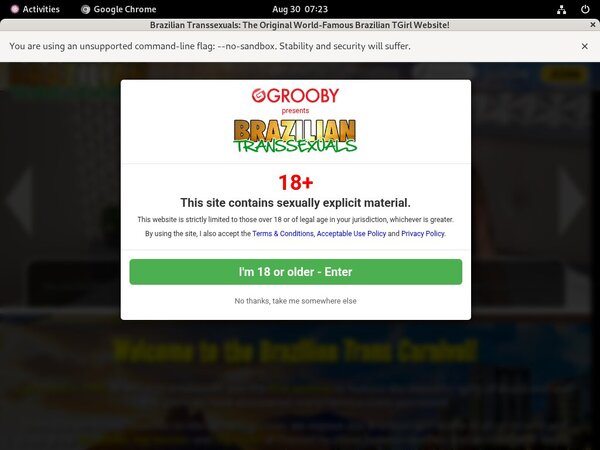 Brazilian Transsexuals Free Acc