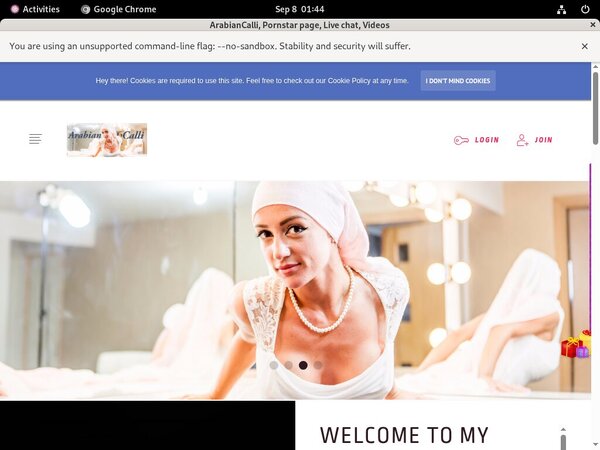 Buy Arabiancalli.modelcentro.com Account