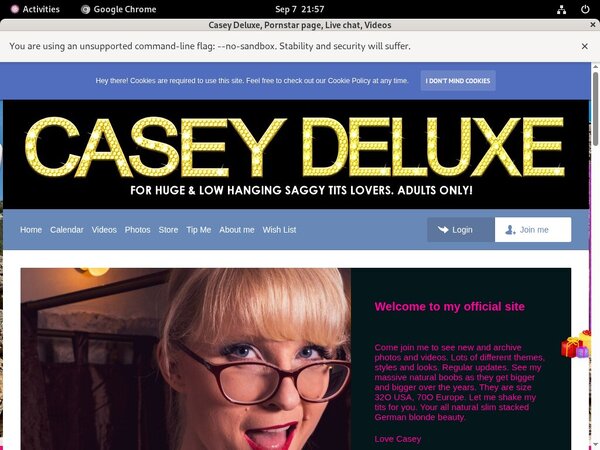 Caseydeluxe.club Allow Paypal