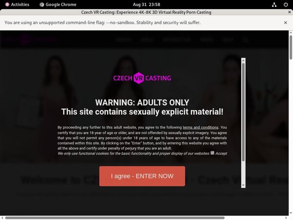 Czechvrcasting.com Bdsm