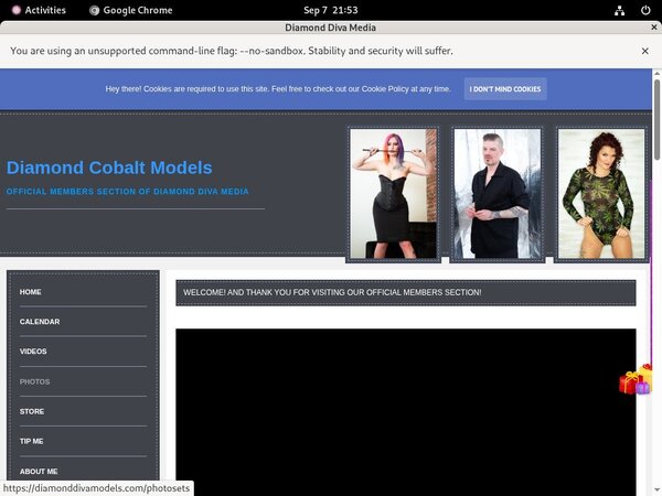 DiamondDivaMedia Full Hd Porn
