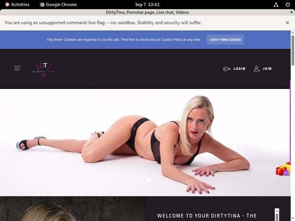 DirtyTina Gay
