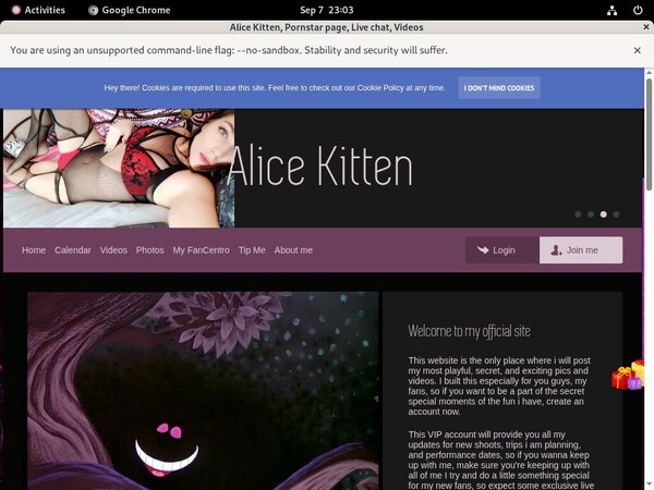 Discounts AliceKitten