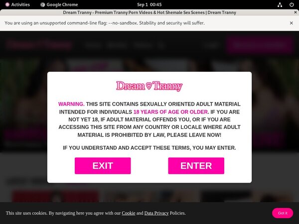 Dream Tranny Account Password