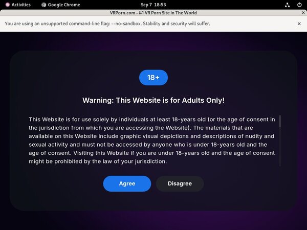 Free Accounts For VR Porn