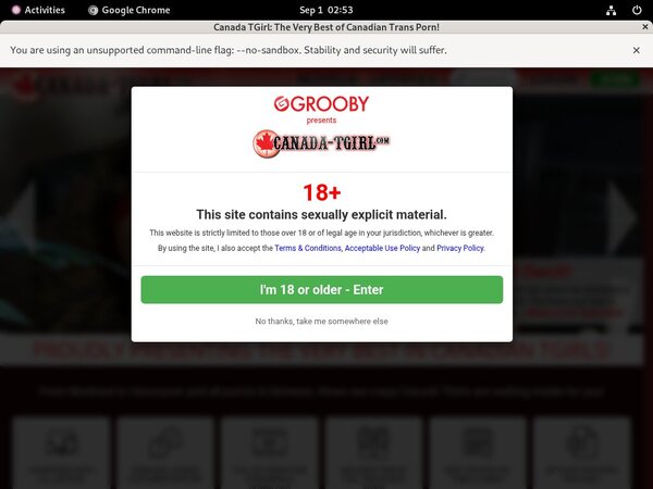 Free Canadatgirl Accounts And Passwords