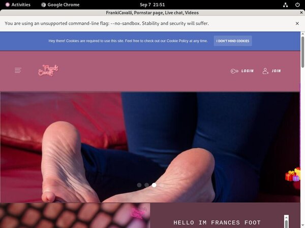 Free Frances.modelcentro.com Code