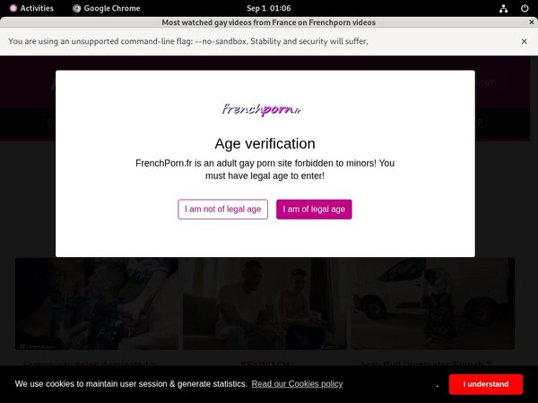 Free Frenchporn.fr Premium Passwords
