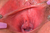 Free Gape My Pussy Id And Password s2