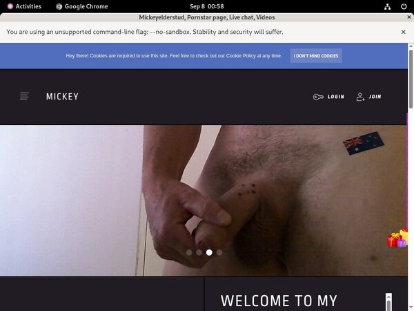 Free Logins Com Modelcentro Mickeyelderstud