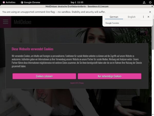 Free MeliDeluxe Passwords 2018