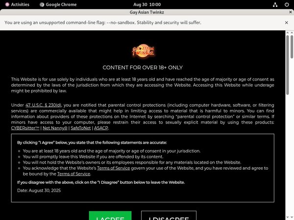 Gayasiantwinkz.com Netcash