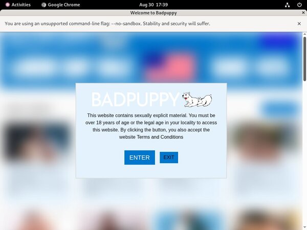 Get A Free Badpuppy.com Account