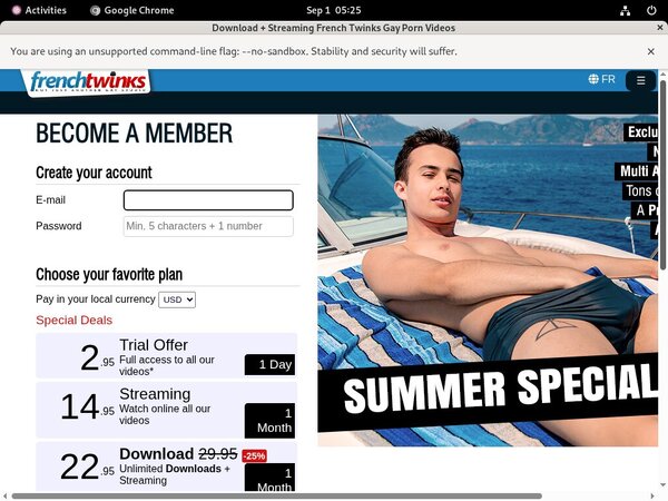Get French Twinks Password