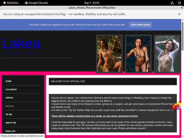 Get Into Lakea_Model Free