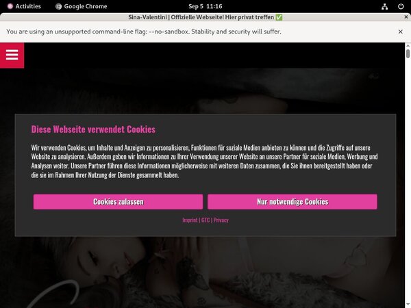 Get Sina Valentini Password
