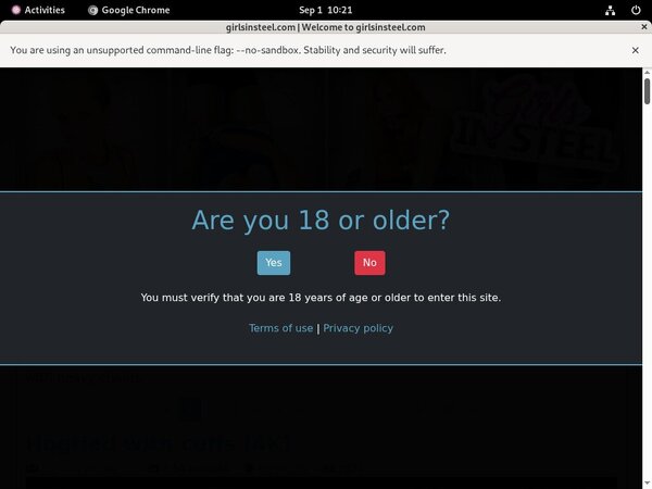 Girls In Steel Logins Free