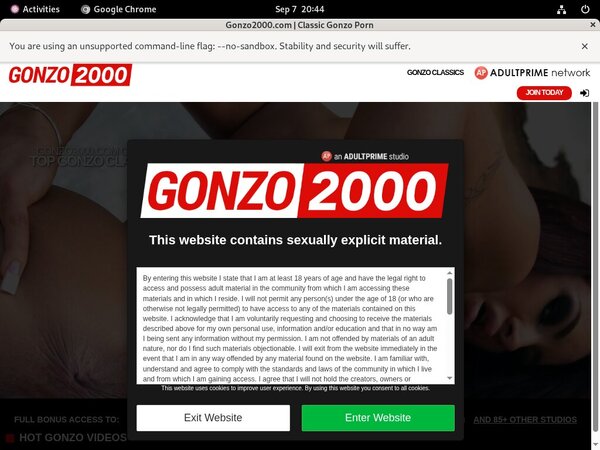 Gonzo 2000 Free Acount