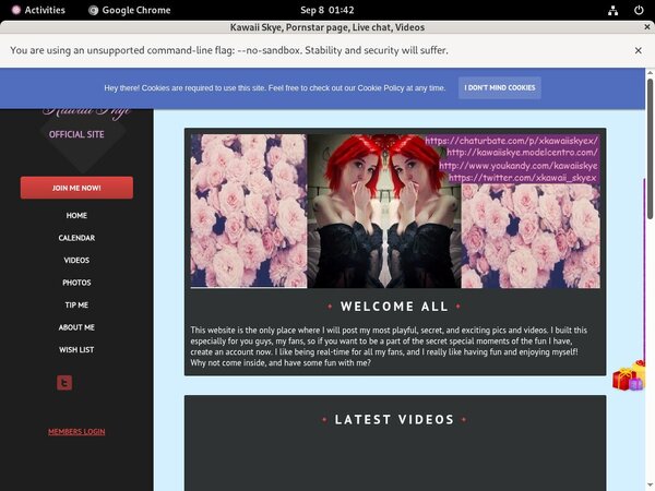 KawaiiSkye Hd Movies