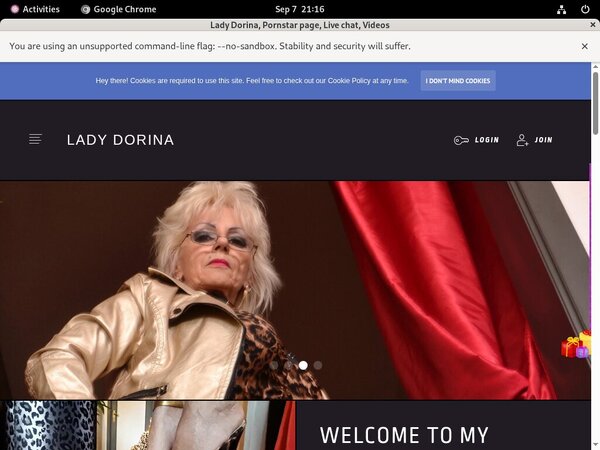 LadyDorina Site Passwords