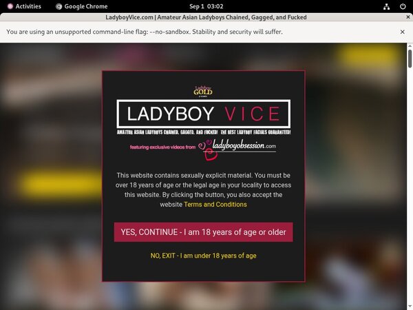 Ladyboy Vice Gratuito