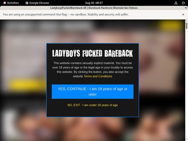 Ladyboys Fucked Bareback Discreet