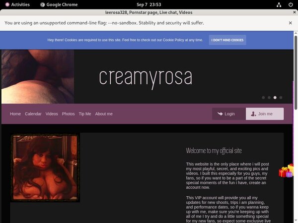 Leerosa328.modelcentro.com Pasword