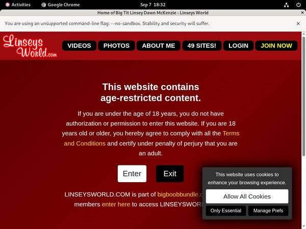 Linseysworld Discount Passes