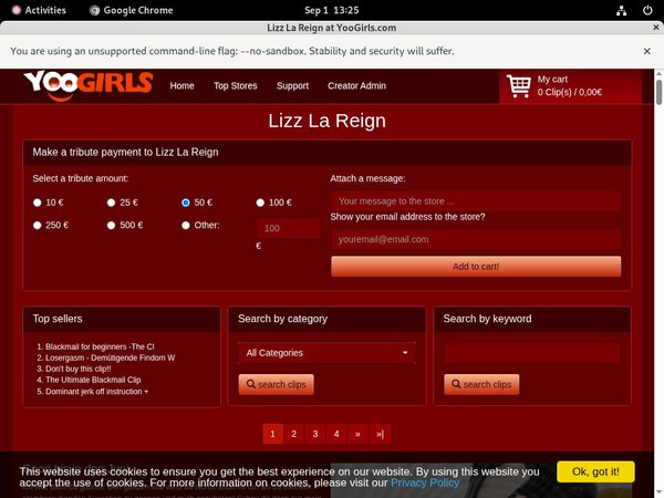 Lizz La Reign Passcode