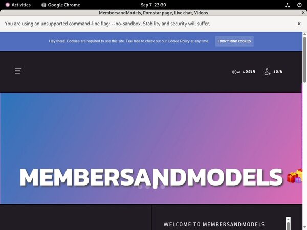 MembersandModels Discount Urls