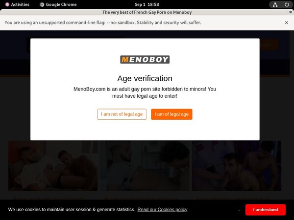 Meno Boy Parola D'ordine Gratuito