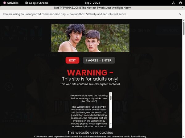 Nastytwinks.com Member Review