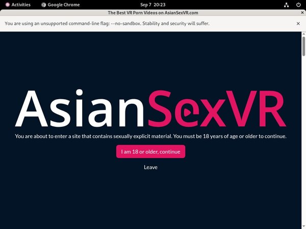 One Time Asian VR Sex Discount