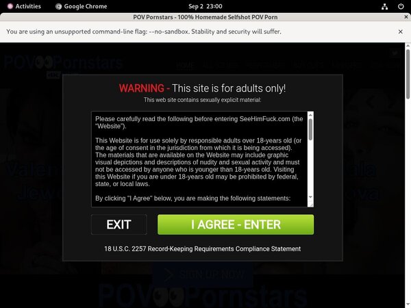 Povpornstars Stolen Password