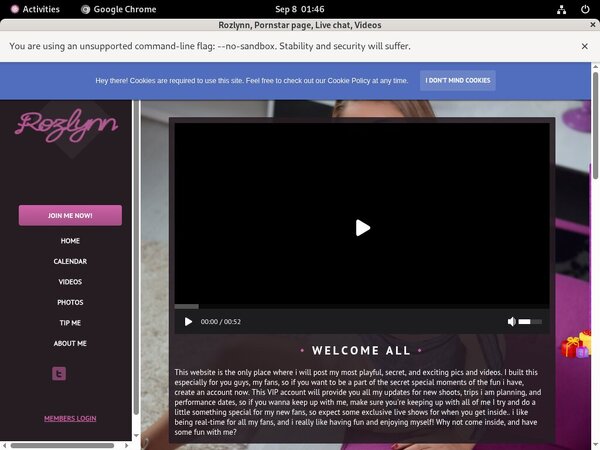 Rozlynn Porn Discount
