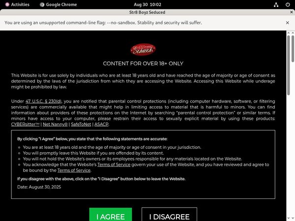 Seducedboyzstr8 Free Login