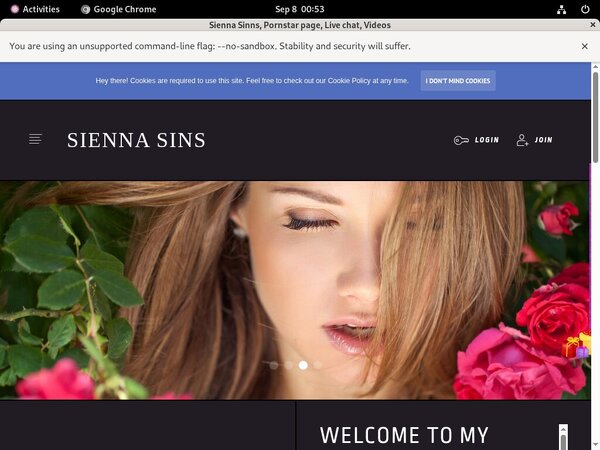 SiennaSinns Order