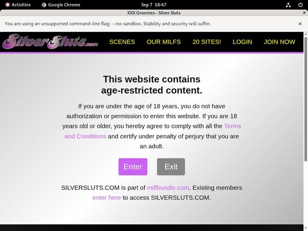 Silver Sluts Working Accounts