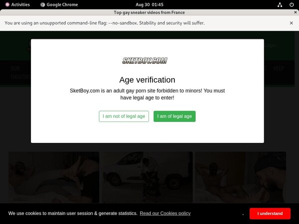 Sketboy Member Password