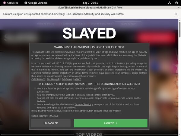 Slayed Discount Trial
