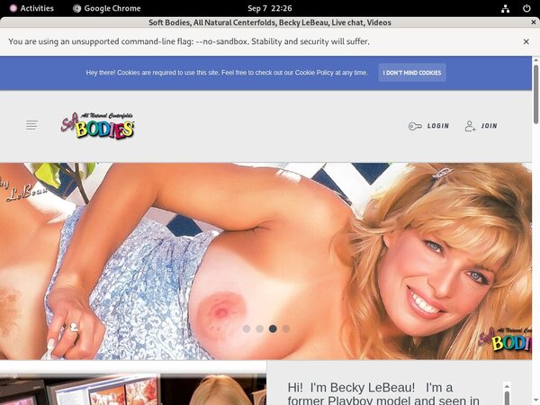 Softbodies Account Logins