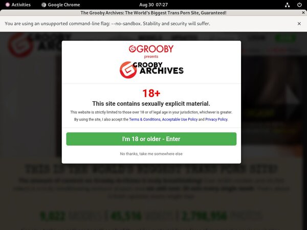Thegroobyarchives Site Rip