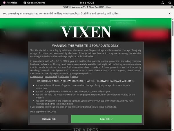 Vixen With IBAN