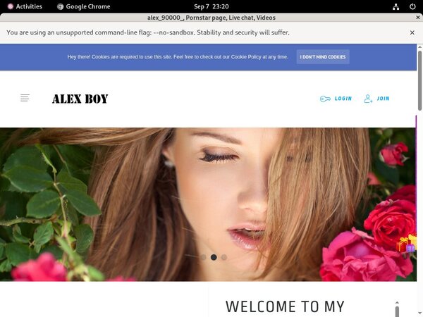 Free Passwords For Alex90000.modelcentro.com