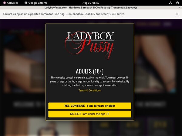 Trial Pussyladyboy