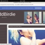 BaddBirdie 5k