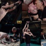 Subspaceland Premium Account